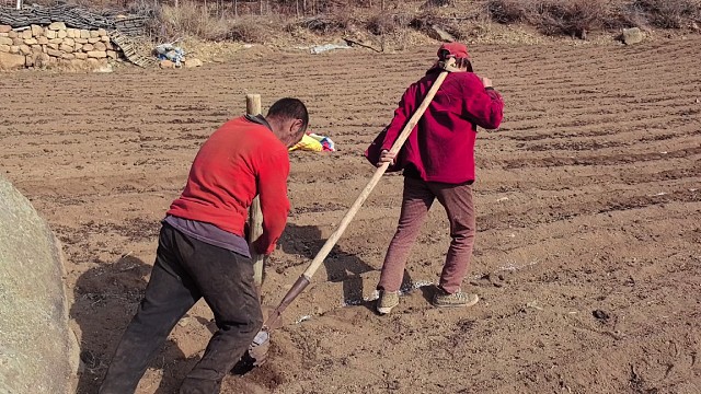 春耕秋收农忙时节