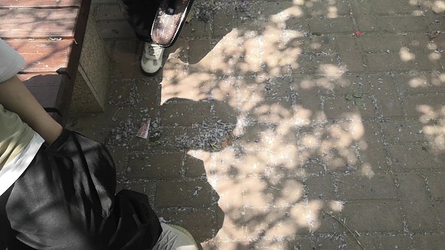 小学生猜谜语都猜出来了