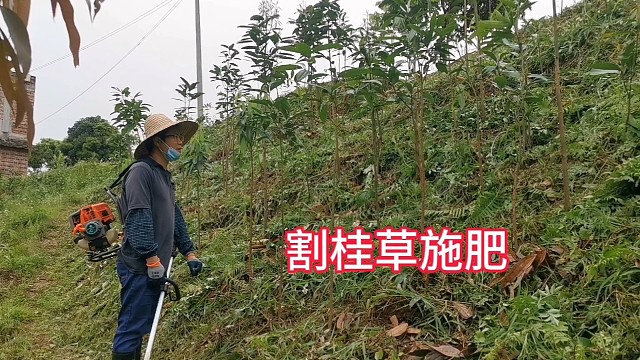 开春下雨了，又到农忙时节