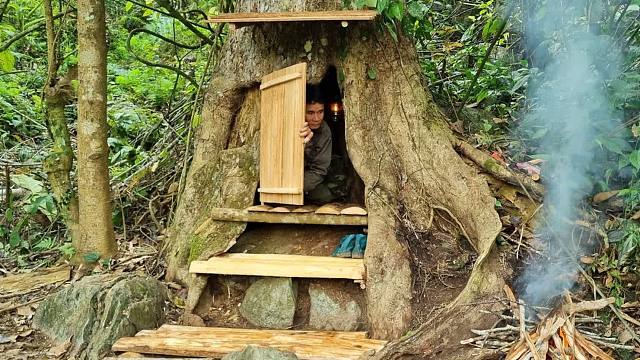 独自进入丛林深山，我把一棵空心的树洞，建造出了能够安全生存的避难所