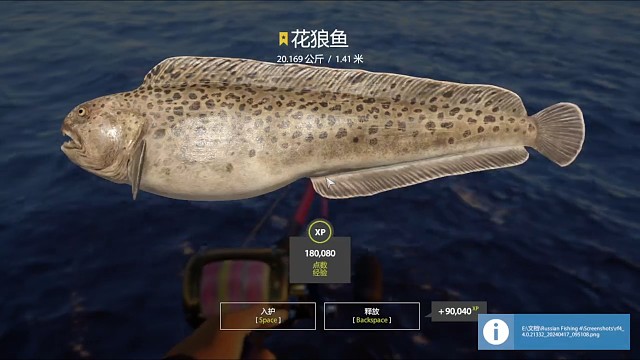 34图挪威海–星花狼鱼(126星)