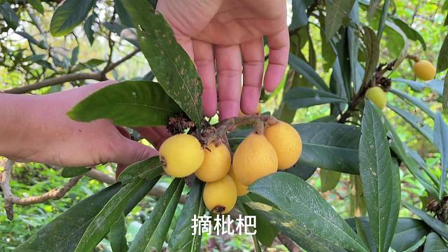 总以为来日方长，希望拥有的被珍惜