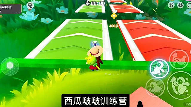 西瓜啵啵训练营