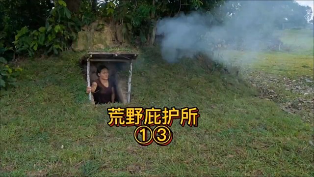 这是见过最隐蔽的庇护所