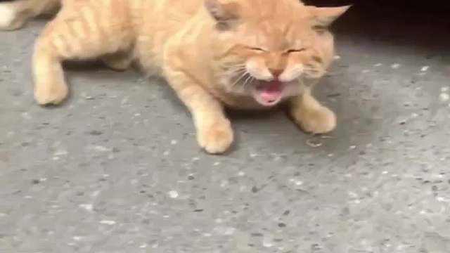 原來這個世界上真的有命中注定的緣分……