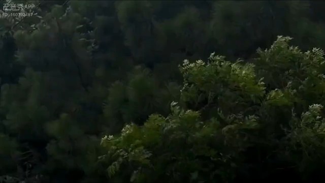 君向潇湘我向秦