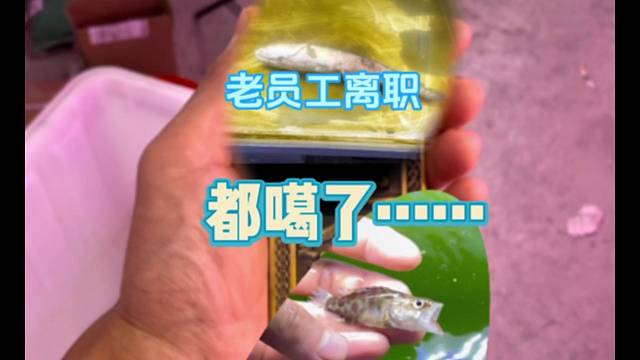 老员工离职……