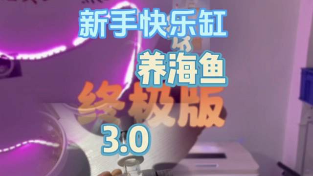 新手快乐缸终极版！