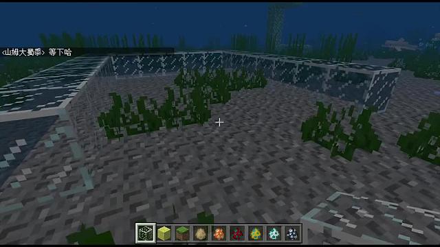 我的世界海洋版：海豚会被淹死那海龟会被淹死吗？大蜀做了个测试