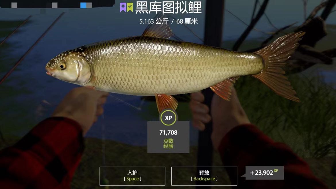 小小发丝黑裤头