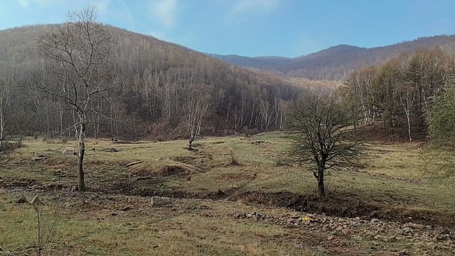 采野菜大山里的风景