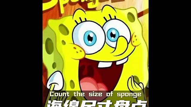 小海绵的所有形态，你又见过哪几种呢？