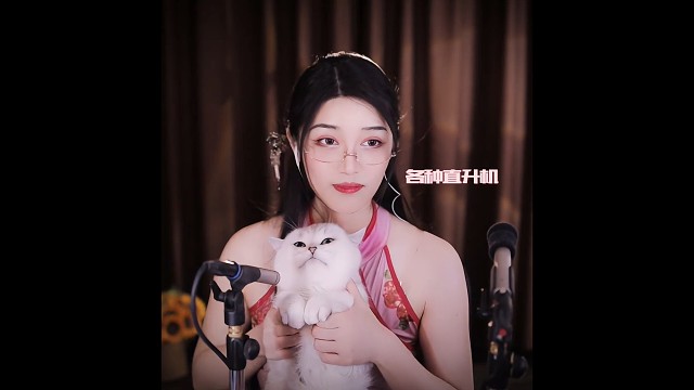 大头被迫营业赚猫粮