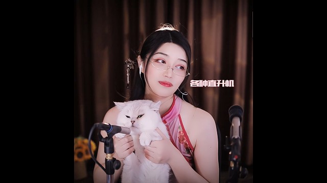 大头被迫营业赚猫粮