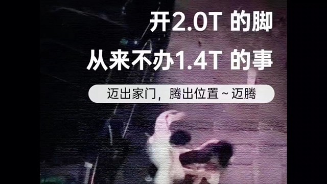 抛开事实不谈，你就没有错？我犯了每个女人都会犯的错