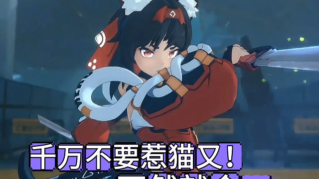 千万不要惹猫又，不然会…