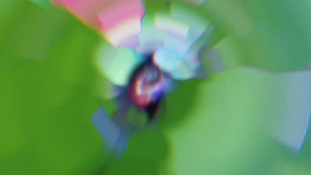 2星打三星#金铲铲