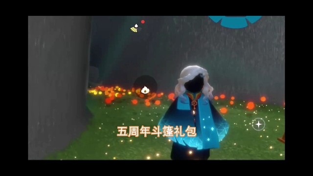 五周年斗篷礼包，二级TGC蓝斗？其实不一样