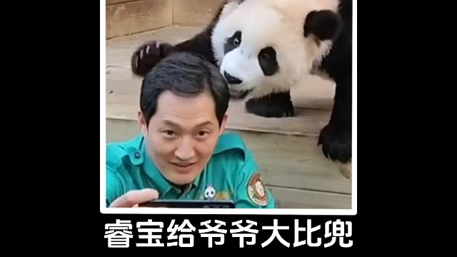 宋爷爷挡了睿宝镜头，被睿宝直接就是一个大比兜~