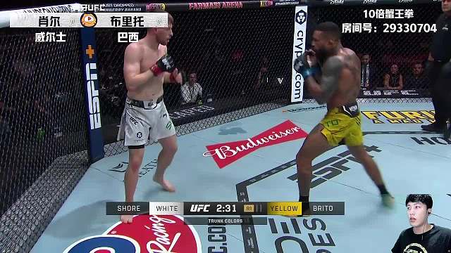 UFC301 杰克·肖爾 VS 喬安德森·布里托 解說