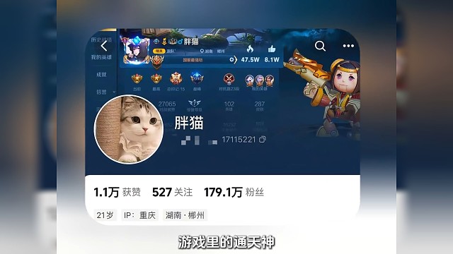 「胖猫事件完整版」希望天堂有吃不完的美食 晚安了