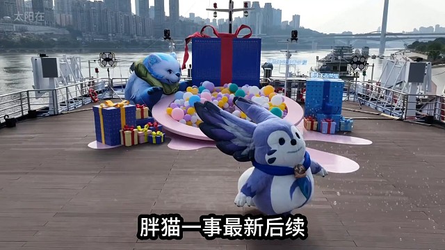 胖猫一事最新后续，女友那边发生1个变动，或是胖猫最不愿看到的 #胖猫一事后续