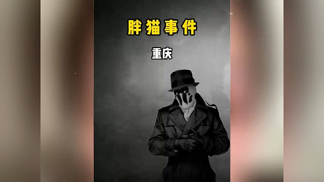 胖猫事情后续，女主的回复令人心痛！#真实事件 #胖猫 #真实故事