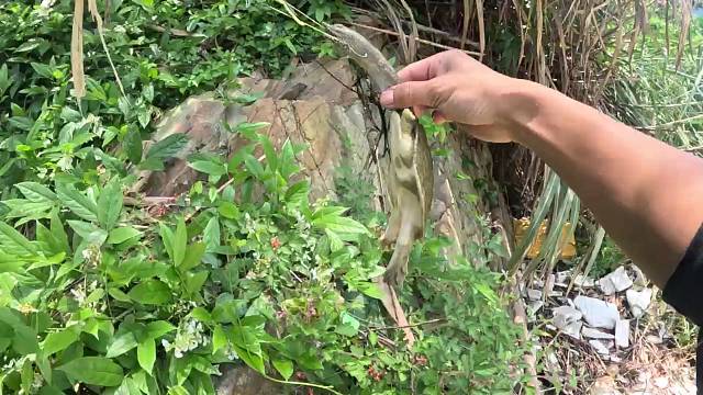 一鳖遮百丑，今天我还是最靓的仔。