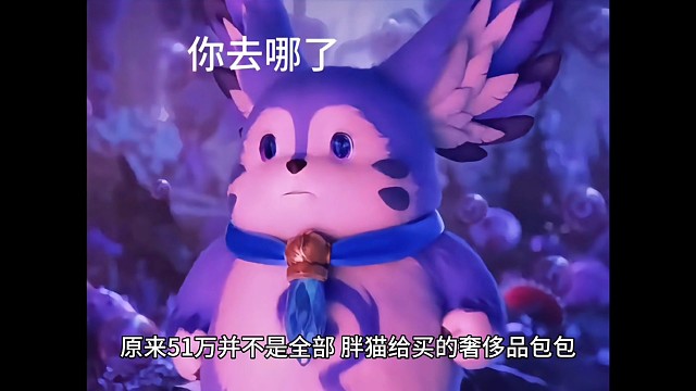 胖猫兄弟一路走好，希望你在另一个世界能够遇到能够把你视为几出的人，别再碰捞女了#胖猫