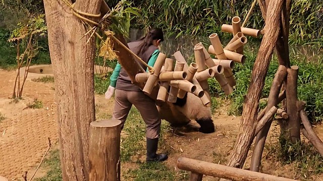 哈哈~笑死了，就看你俩谁犟得过谁~