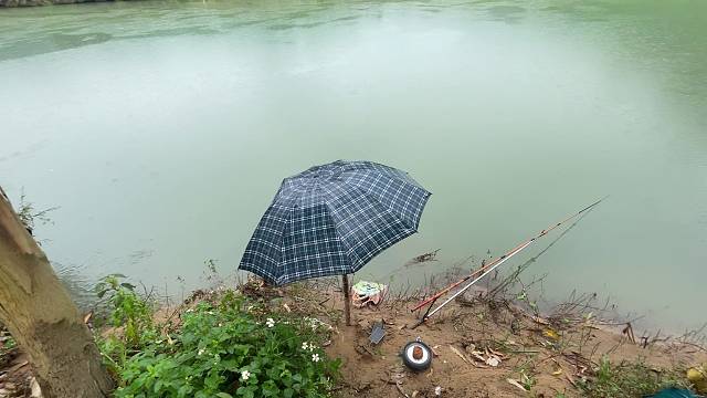 釣魚去不去（溪流探險(xiǎn)搞魚）