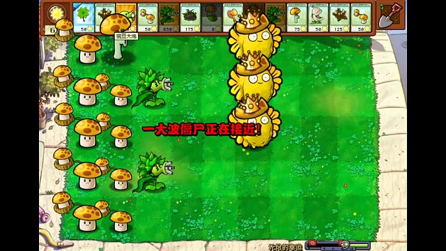 一个TheShy九个rookie