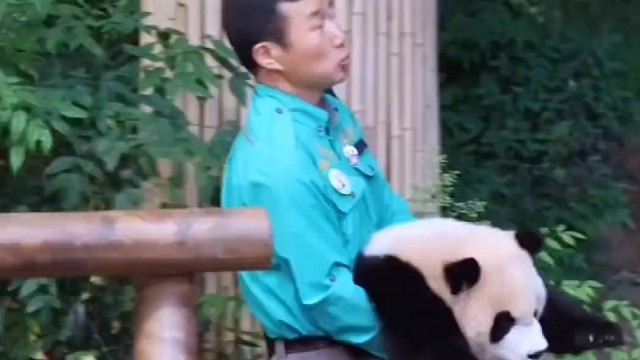 姜宝吐槽辉宝太重