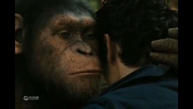 暗区突围启动！