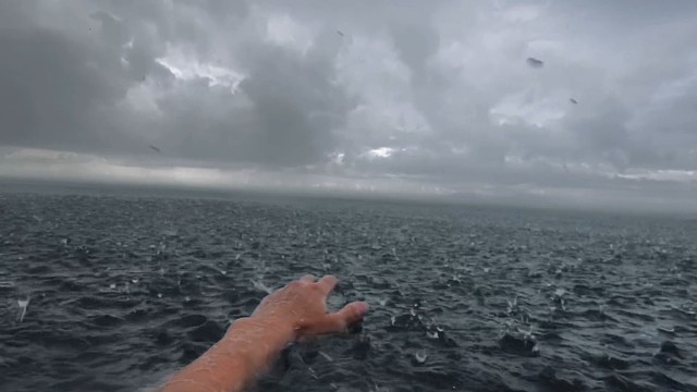 渐行渐远的不只是身边的人和事
还有曾经的自己