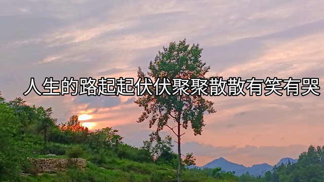 句句不提，却句句像自己走的路