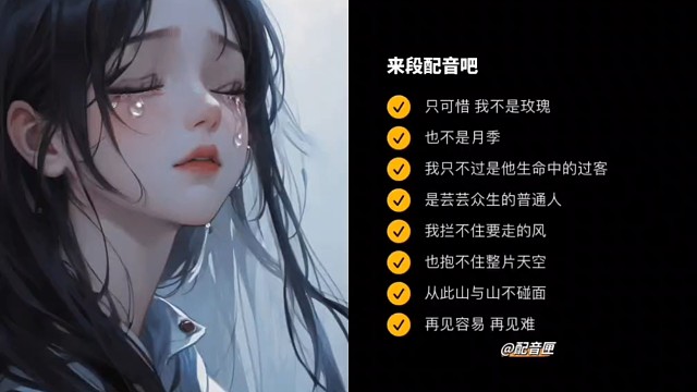 是玫瑰，是月季