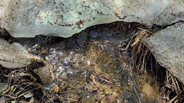 采野菜大山里的风景