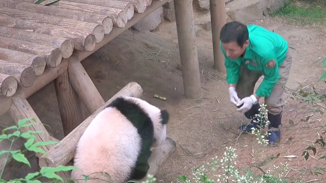 睿宝成精了，和爷爷玩心眼~