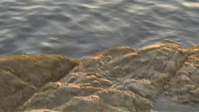 为什么总喜欢看日落