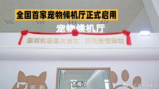 太棒了！全国首家宠物候机厅在深圳机场国内货站正式启用