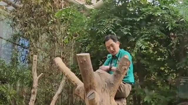 宋爷爷太可爱了，走睿辉的路，让睿辉无路可走~