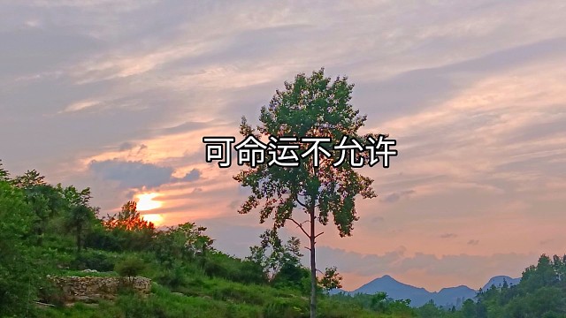 今天喝了很多水，应该能冲掉很多苦吧.