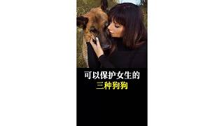 可以保護女生的三種狗狗