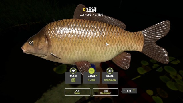 新29图铜湖–星鲤鲫(127星) 圆腹渔夫图鉴