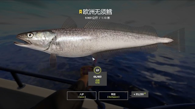 34图挪威海–星欧洲无须鳕(128星)