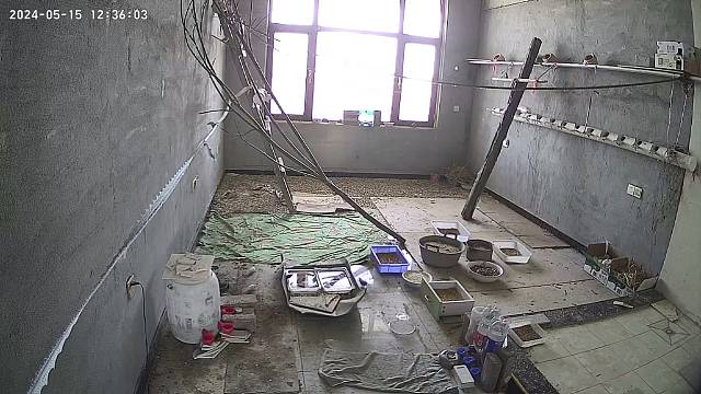 散养珍珠鸟与虎皮鹦鹉