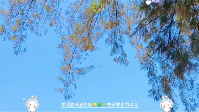 大澳湾沙滩