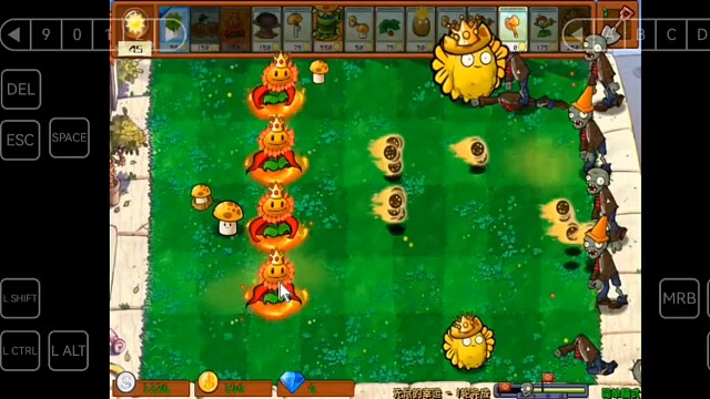 植物大战僵尸杂交版无尽的幸运
向日葵女王开局1