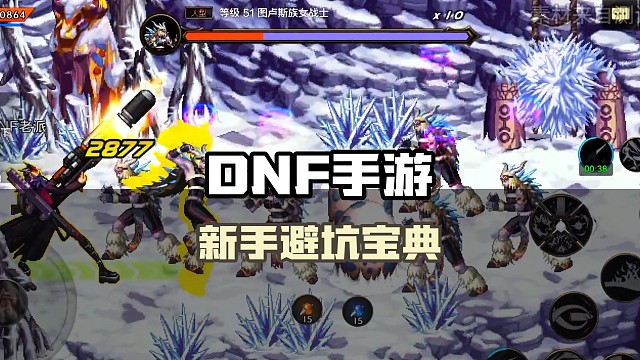 新手必看的避坑宝典